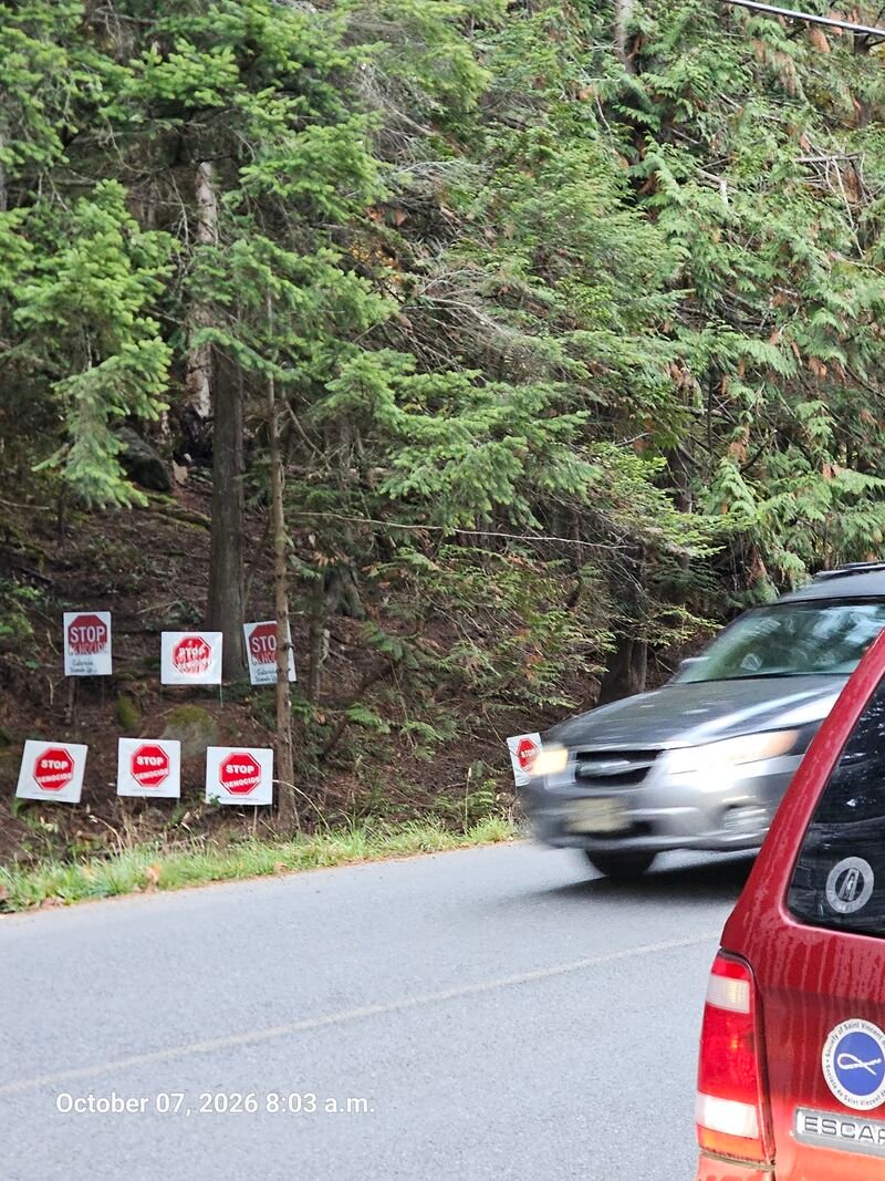 Cars passing a hillside of STOP GENOCIDE signs on Taylor Bay Road, Gabriola Island, October 7, 2026