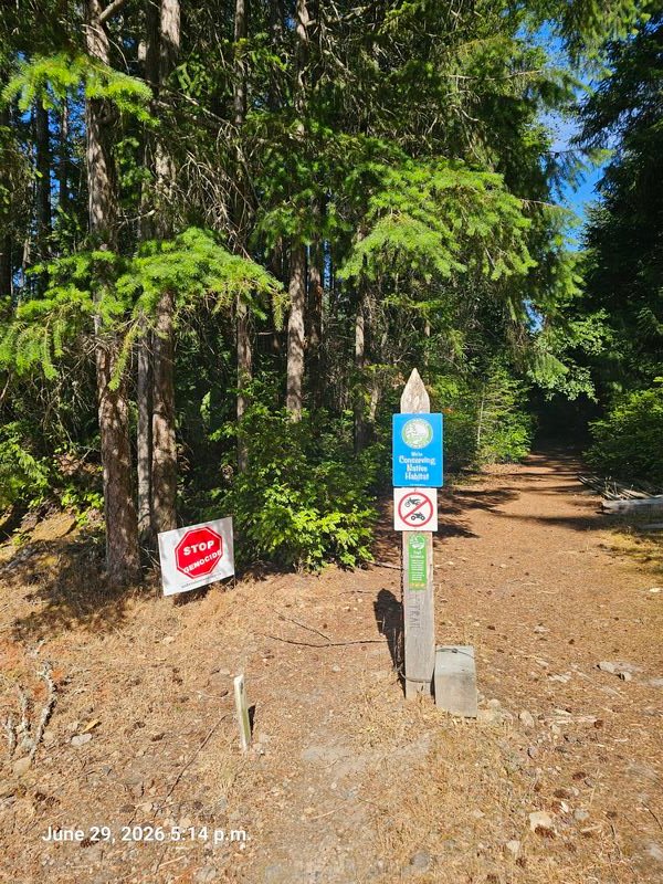 Mahalia's Stop Genocide sign on Kings Road, Gabriola