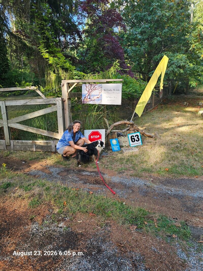 Melinda's Stop Genocide sign outside her Ocean Woman Art Studio on Ross Way, Gabriola - sign #114