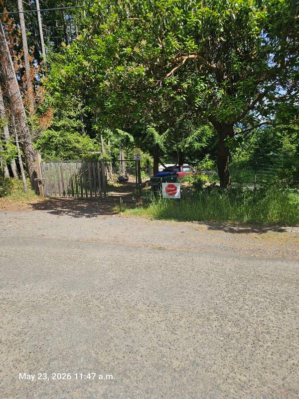 Tamara's Stop Genocide sign on Wild Cherry Terrace, Gabriola